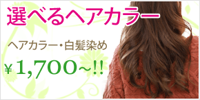 選べるヘアカラー ヘアカラー・白髪染め\1,700〜
