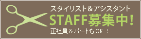 スタイリスト＆アシスタント　スタッフ募集！　正社員・パート